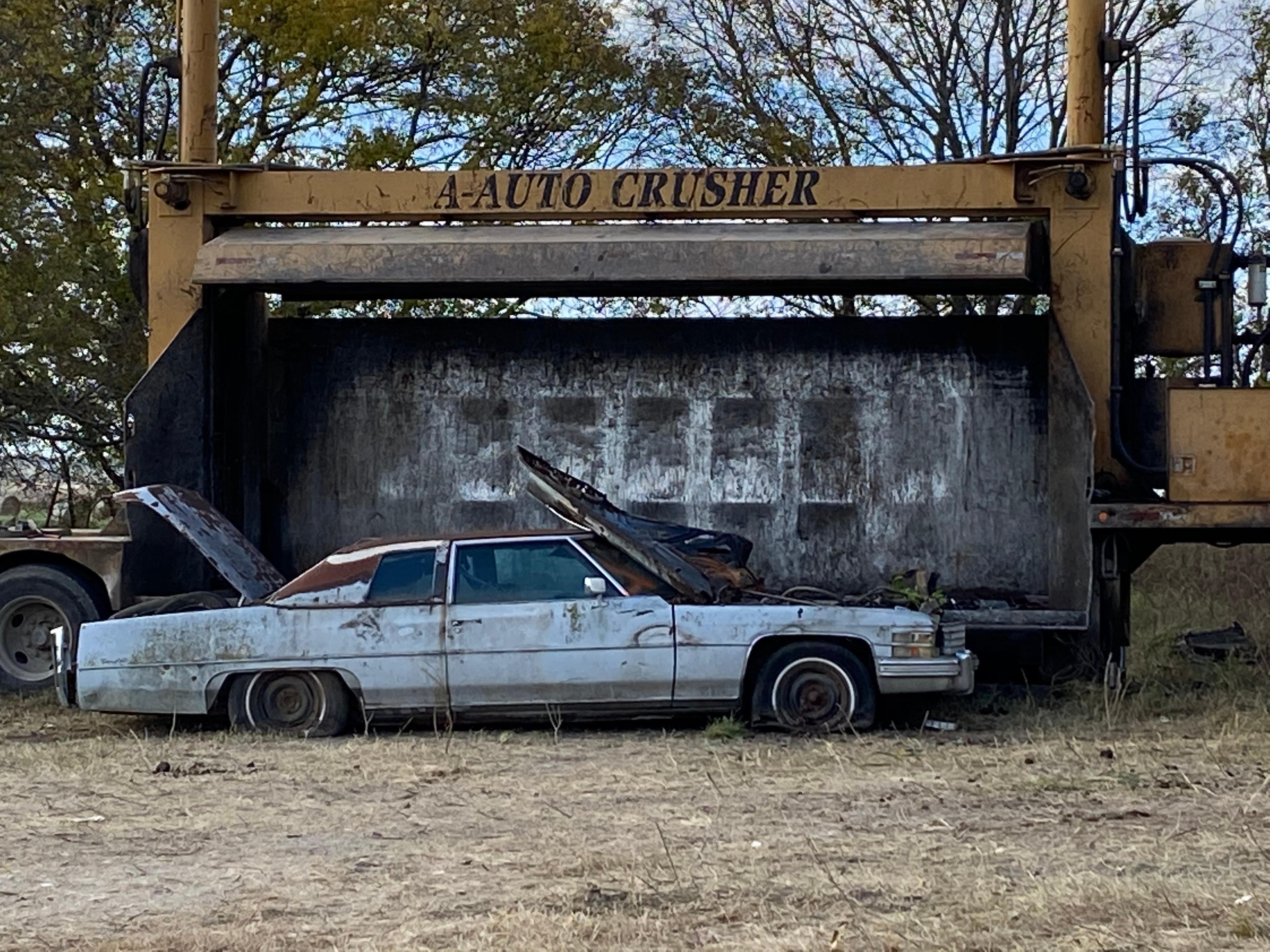Wrecked and abandoned cars in a salvage yard